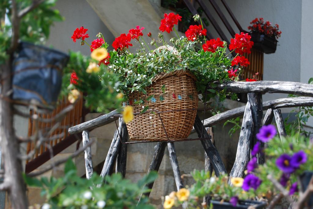 Seoski Turizam Melovic Rozanstvo Ngoại thất bức ảnh